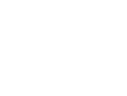 Logo for Flyability